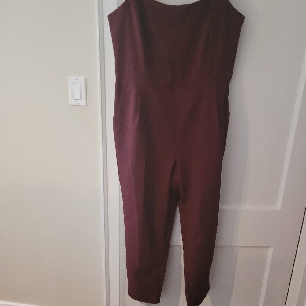 CLOSING MY CLOSET-BUY NOW-Birds of North America - Burgundy Overalls, size 14